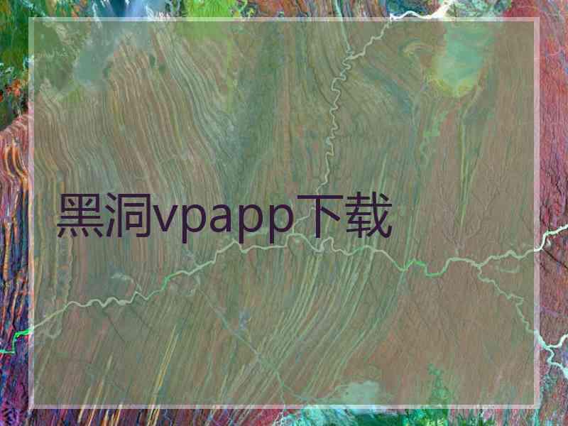 黑洞vpapp下载