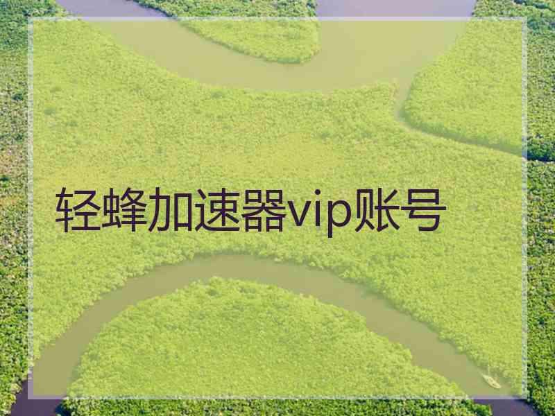 轻蜂加速器vip账号