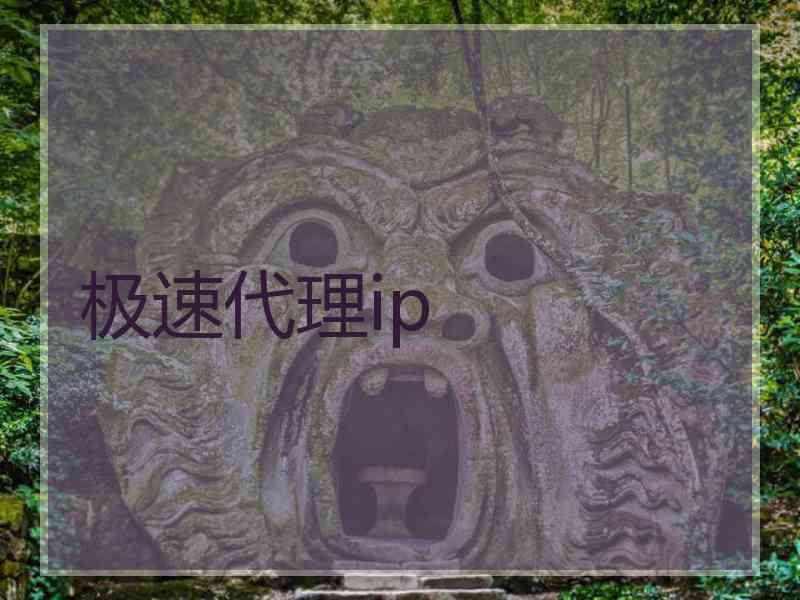 极速代理ip