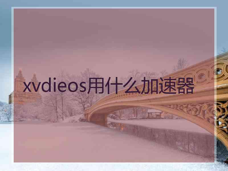 xvdieos用什么加速器