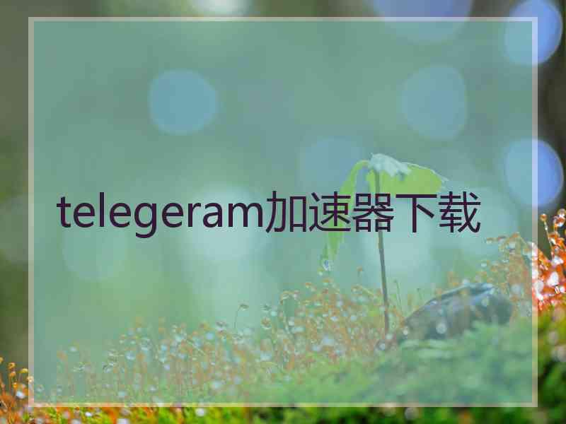 telegeram加速器下载