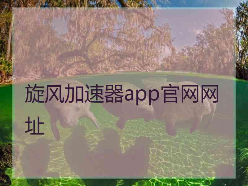 旋风加速器app官网网址