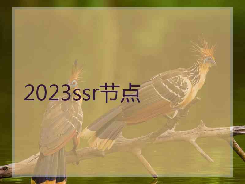 2023ssr节点