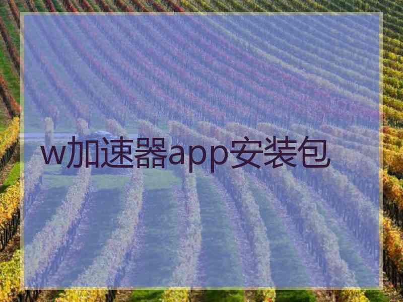 w加速器app安装包