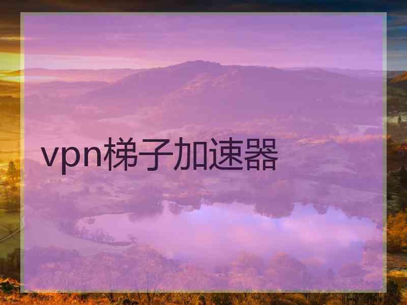 vpn梯子加速器