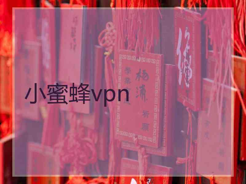 小蜜蜂vpn