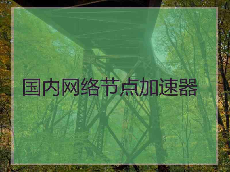 国内网络节点加速器