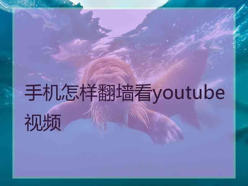 手机怎样翻墙看youtube视频