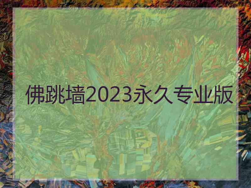 佛跳墙2023永久专业版