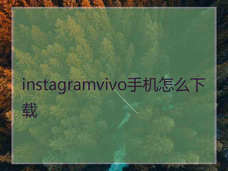 instagramvivo手机怎么下载