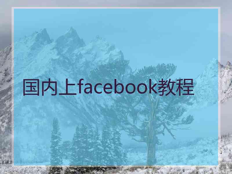 国内上facebook教程