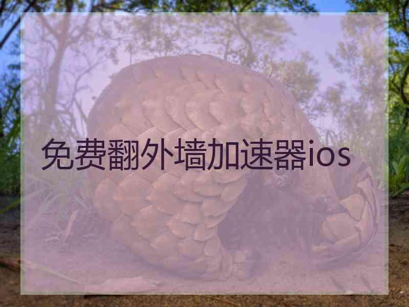 免费翻外墙加速器ios