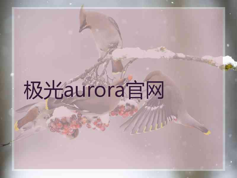 极光aurora官网