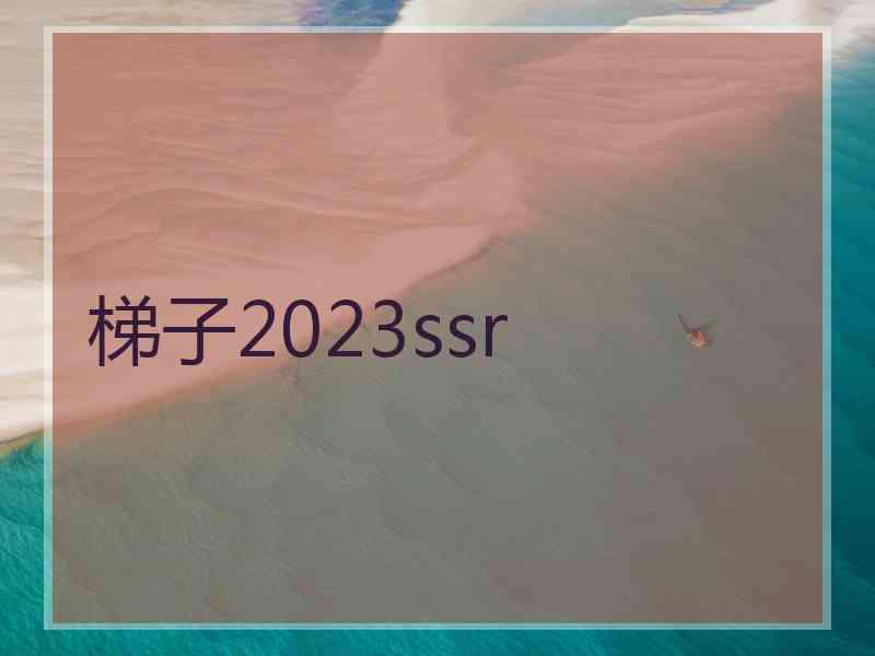 梯子2023ssr