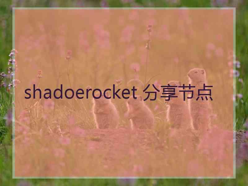 shadoerocket 分享节点