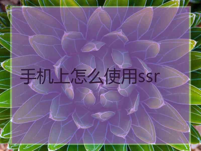 手机上怎么使用ssr