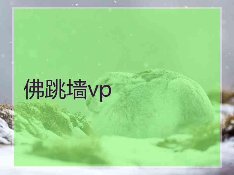 佛跳墙vp