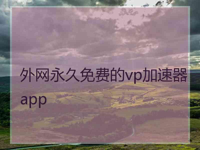 外网永久免费的vp加速器app