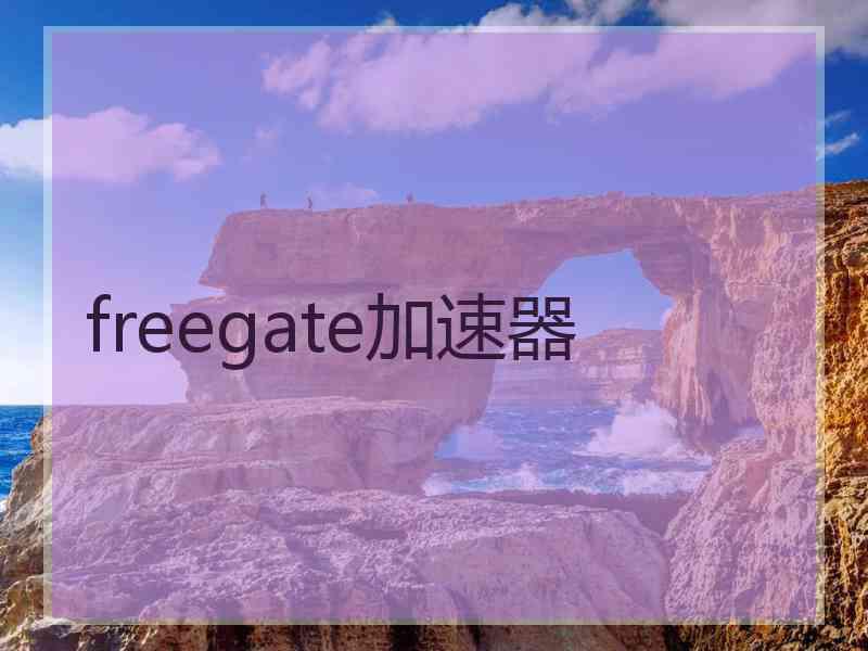 freegate加速器