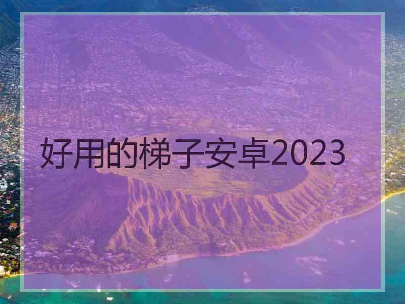 好用的梯子安卓2023