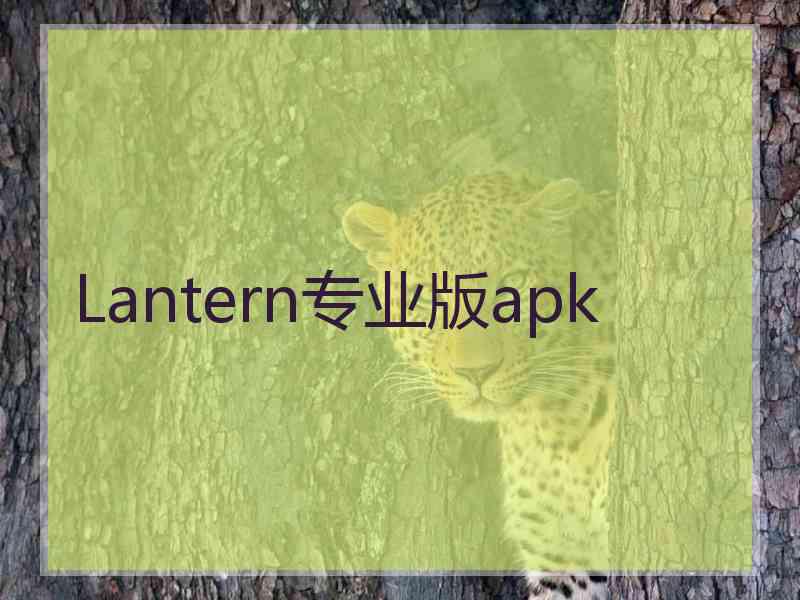 Lantern专业版apk