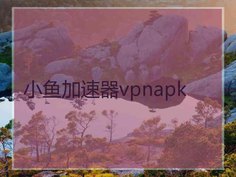 小鱼加速器vpnapk