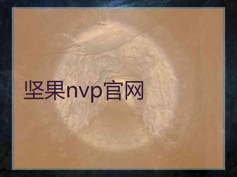 坚果nvp官网