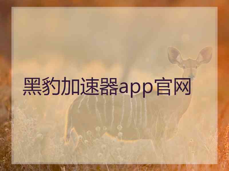 黑豹加速器app官网