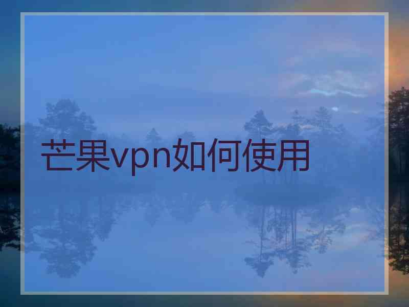 芒果vpn如何使用