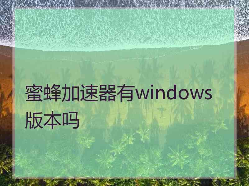 蜜蜂加速器有windows版本吗