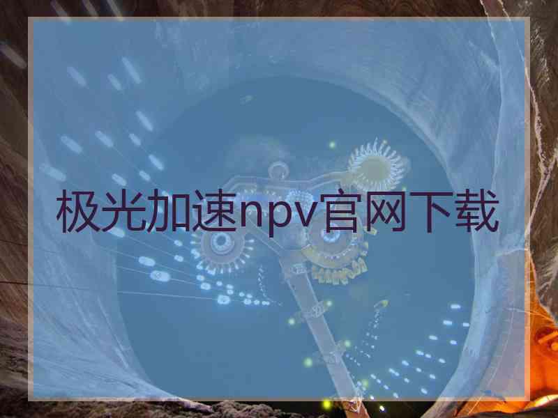 极光加速npv官网下载