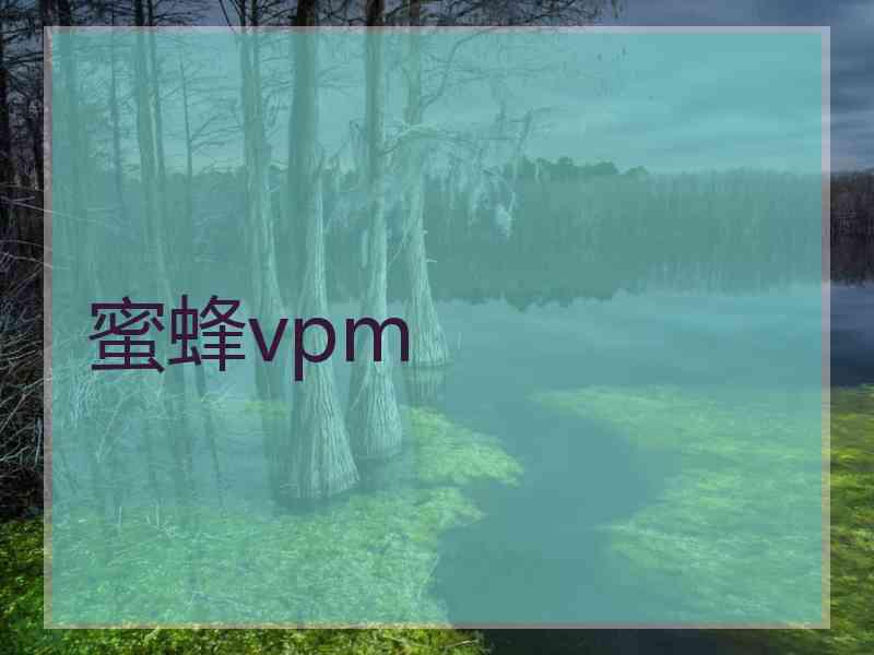 蜜蜂vpm