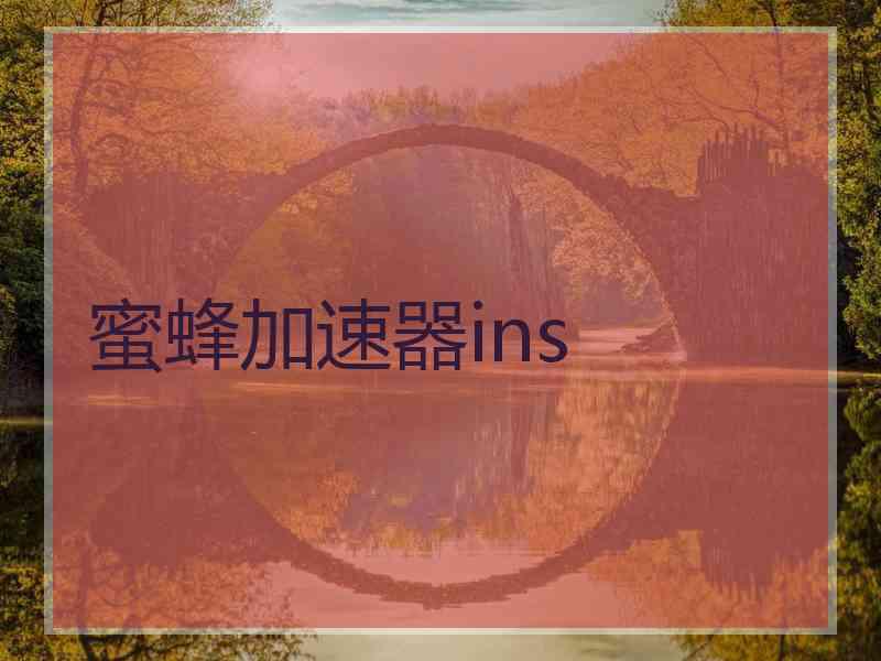 蜜蜂加速器ins