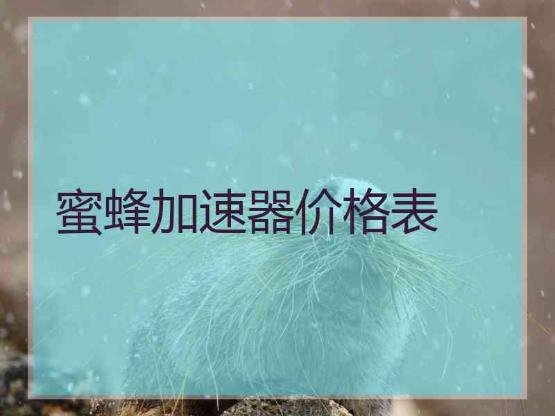 蜜蜂加速器价格表