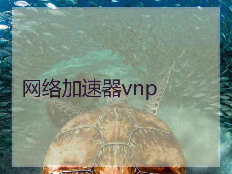 网络加速器vnp