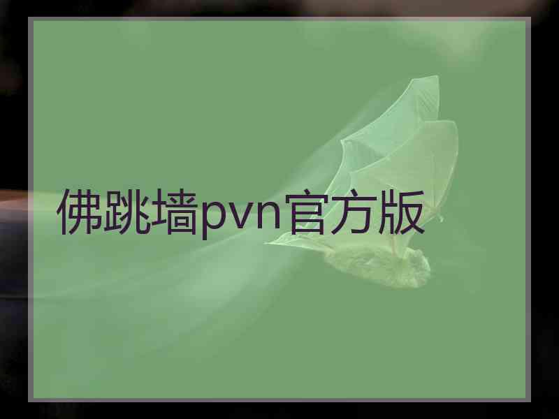 佛跳墙pvn官方版