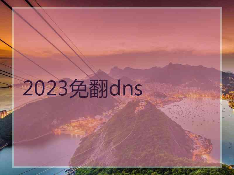 2023免翻dns