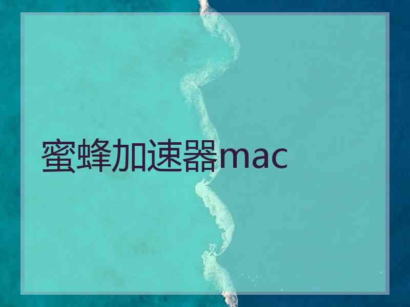 蜜蜂加速器mac