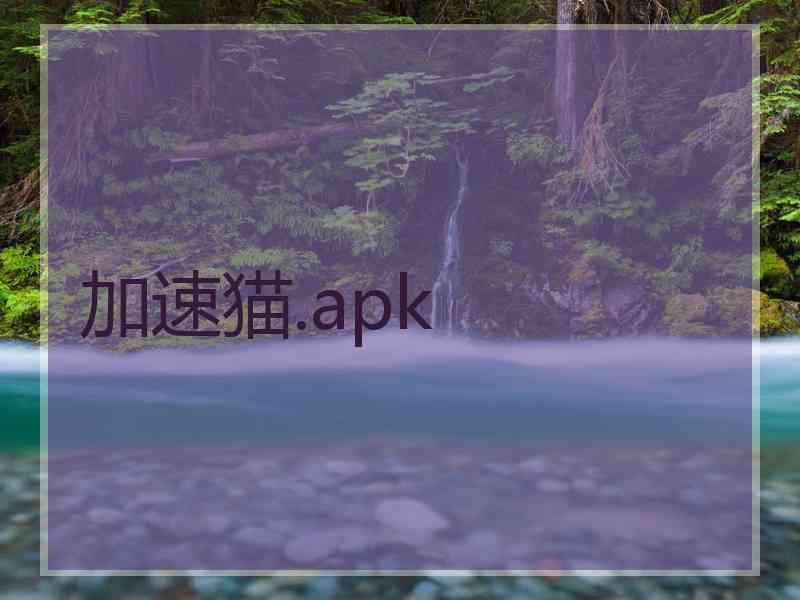 加速猫.apk