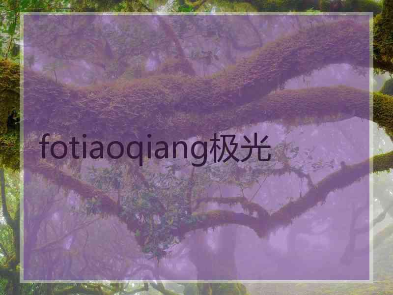 fotiaoqiang极光