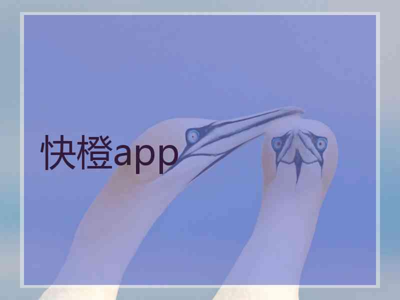 快橙app