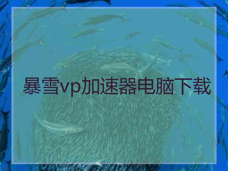 暴雪vp加速器电脑下载