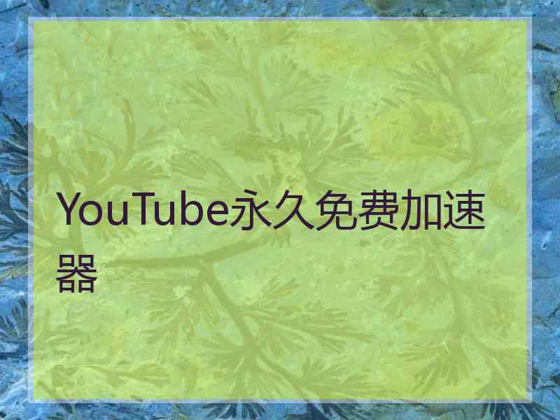 YouTube永久免费加速器