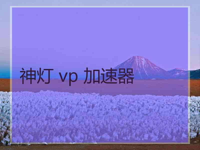 神灯 vp 加速器