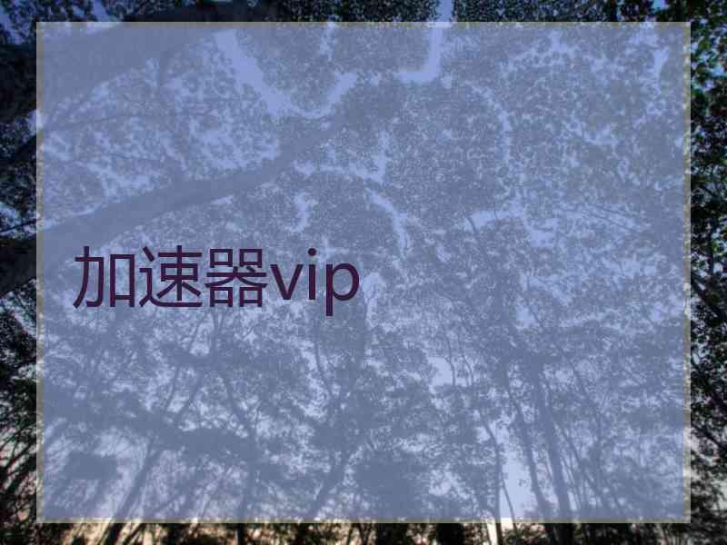 加速器vip