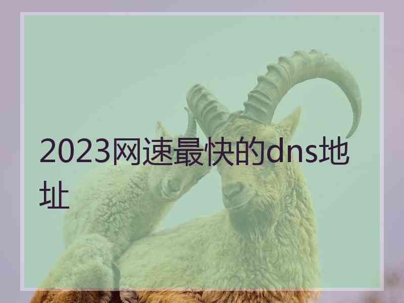 2023网速最快的dns地址