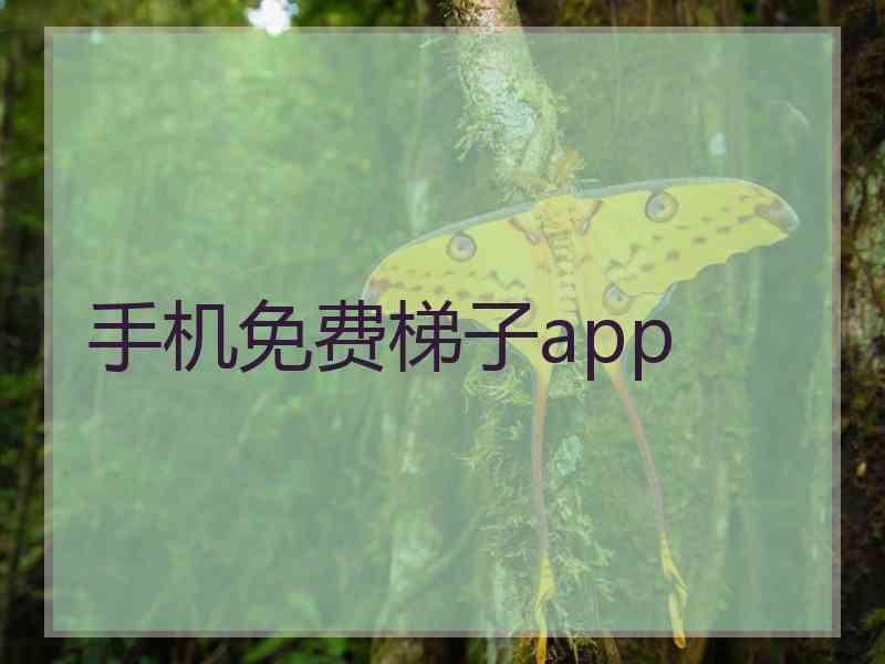 手机免费梯子app