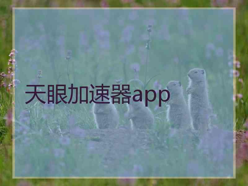 天眼加速器app