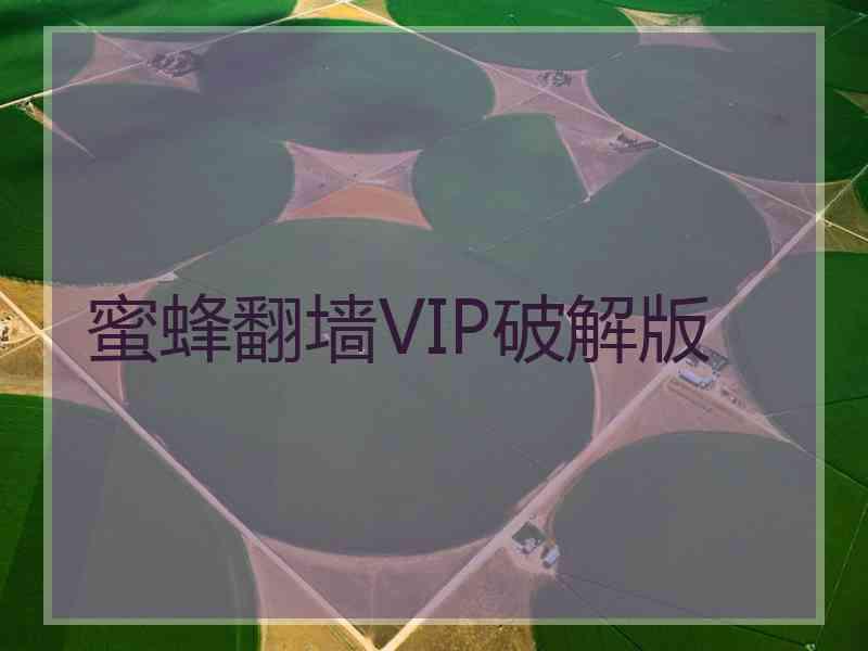 蜜蜂翻墙VIP破解版