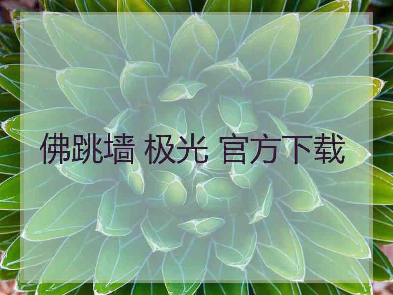 佛跳墙 极光 官方下载